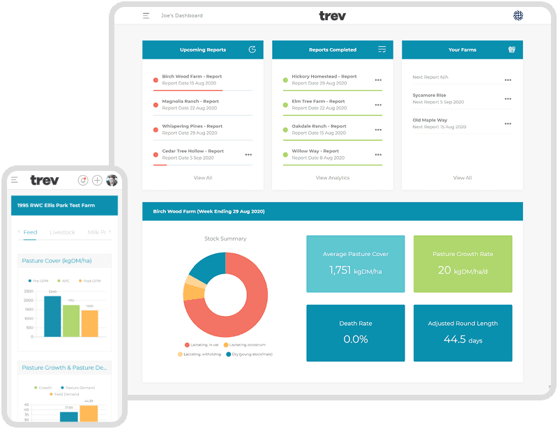 trev - Reporting & Analytics Platform