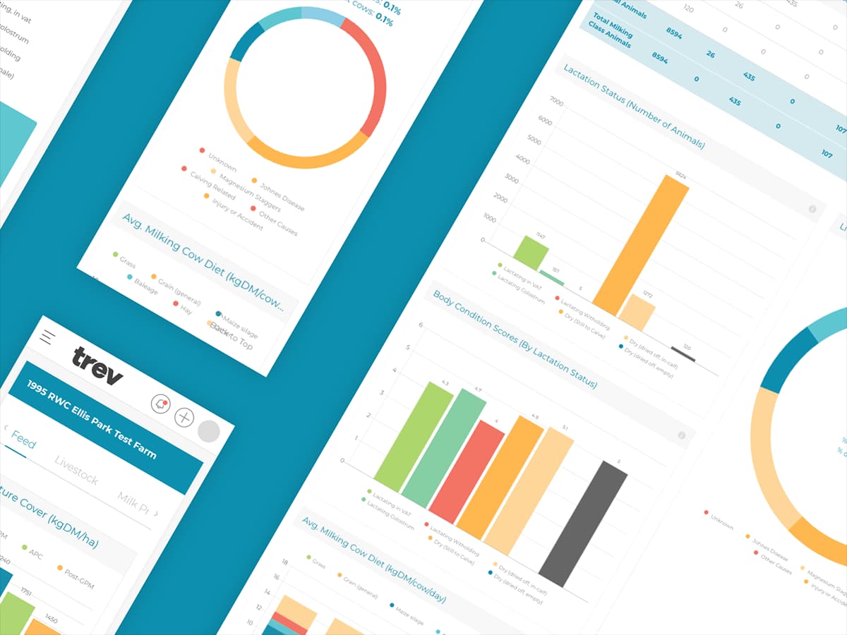trev - Reporting & Analytics Platform
