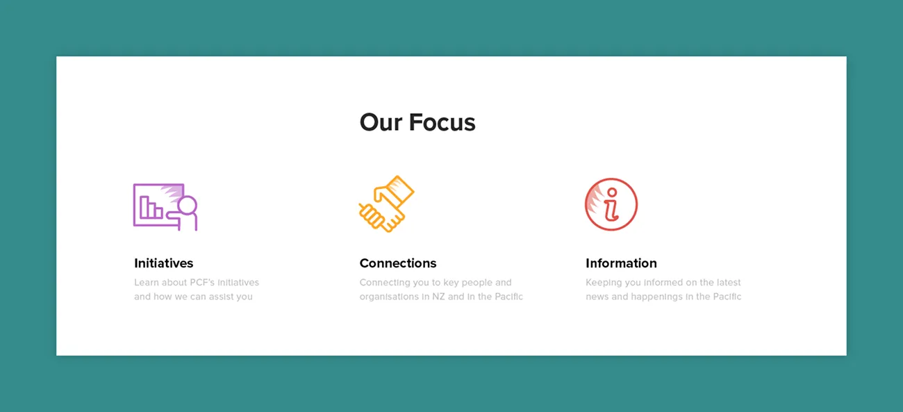 The Our Focus section: initiatives, connections and information, each with an icon