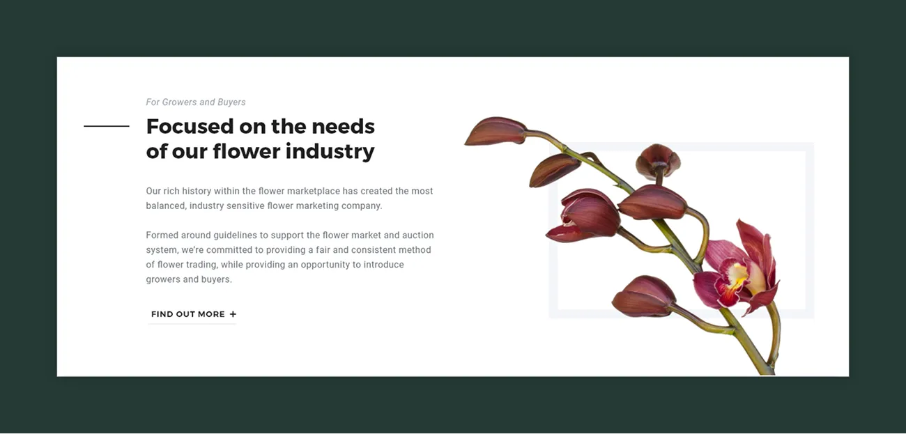 The UFG section headed Focused on the needs of our flower industry, with an orchid photograph