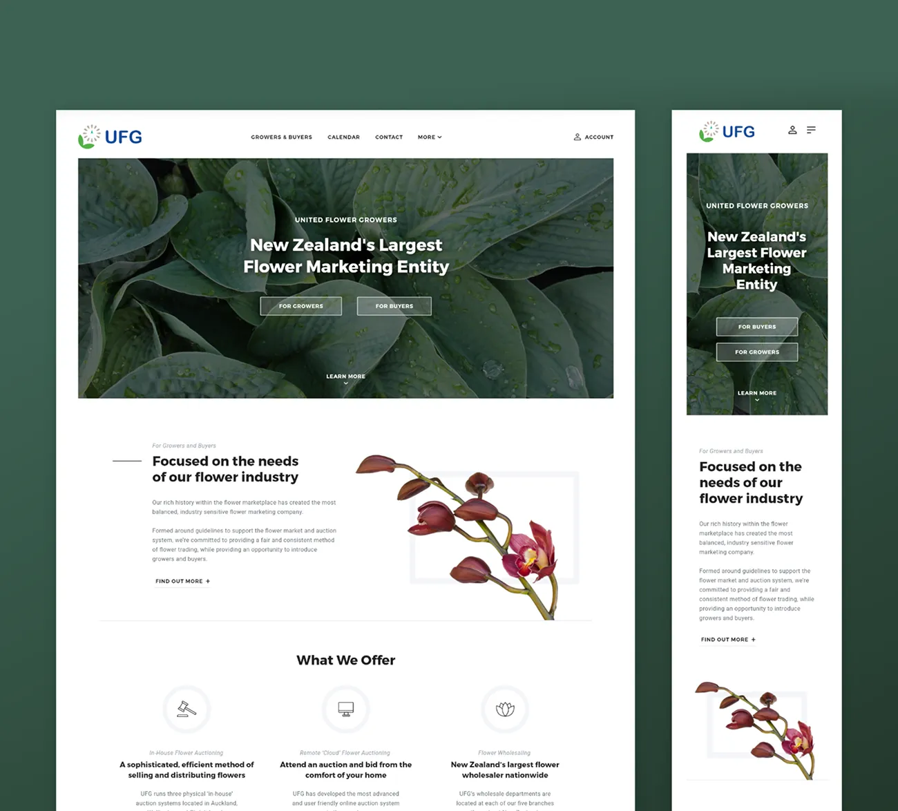 The UFG homepage on desktop and mobile: a hero over green foliage, the growers and buyers section and what we offer